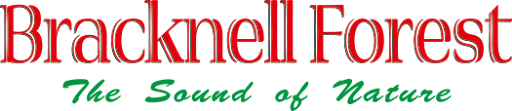 Bracknell Forest